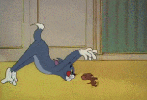 这就是汤姆(tom)和杰瑞(jerry)的魅力.