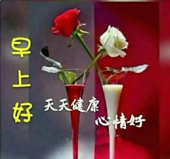 精选好看的早上好祝福语动画早安图片带字早上好短信问候语祝福语