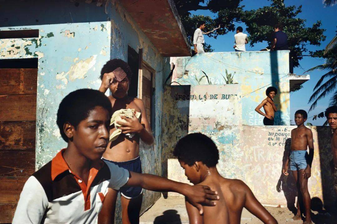 alex webb