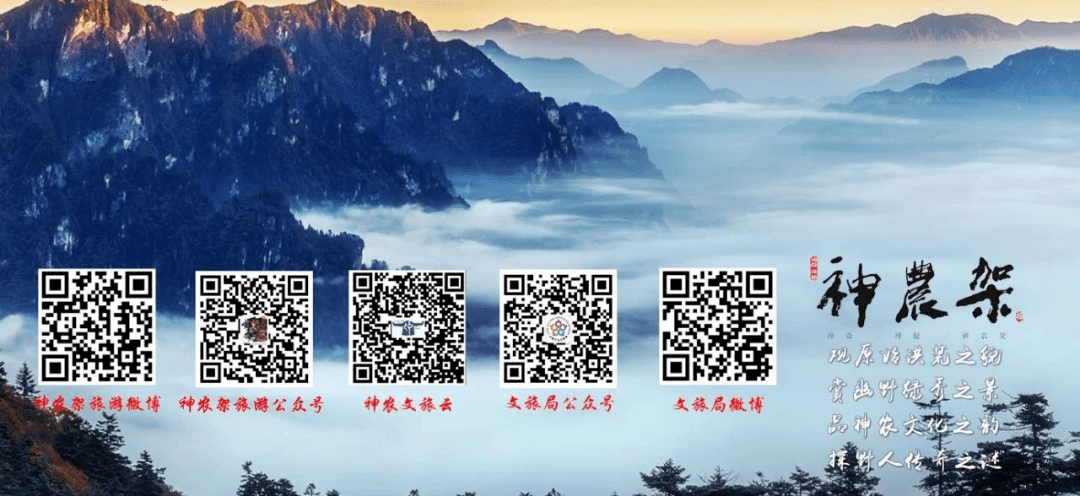 神农架林区seo优化 来自搜狐网