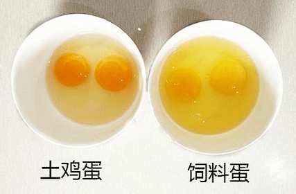 "土"鸡蛋的蛋黄为什么比普通鸡蛋的黄?