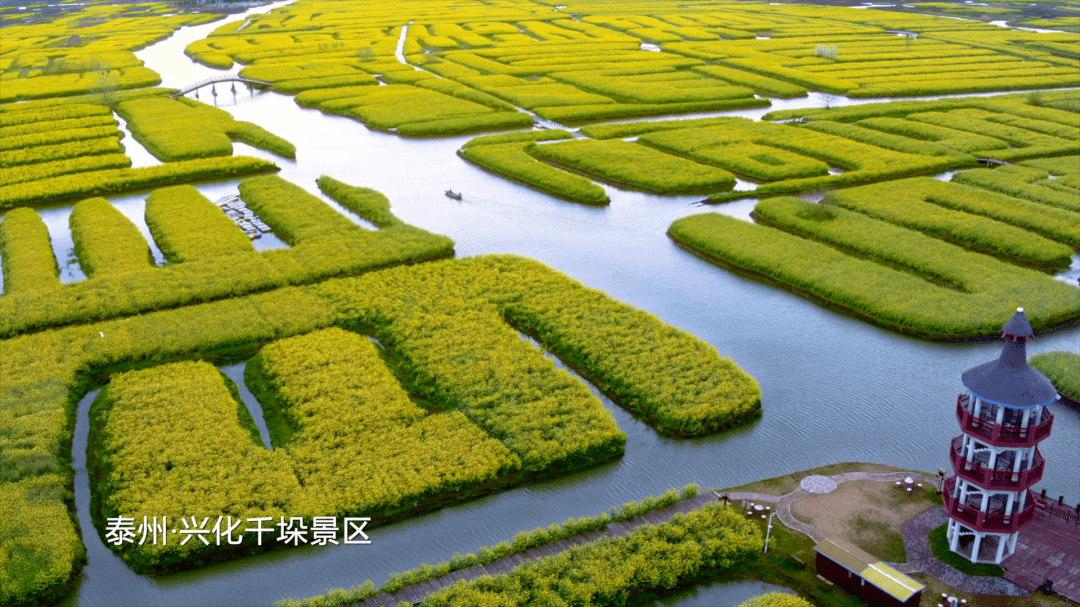 江苏美景登陆央视!兴化惊艳入镜