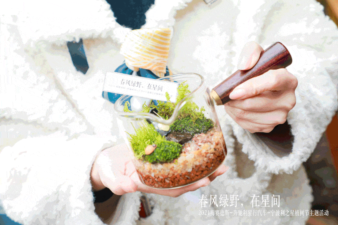 小小一份盆栽绿植,把心仪的植物种植在喜欢的花器中,随心布置,组合出