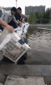 182_298gif 动态图 动图