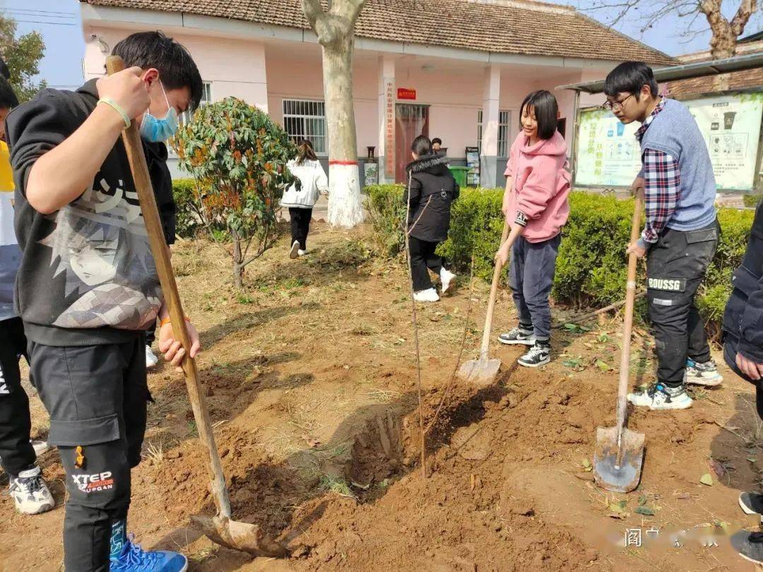 迎十四运,做绿色使者 | 阎良区各学校开展植树节主题活动