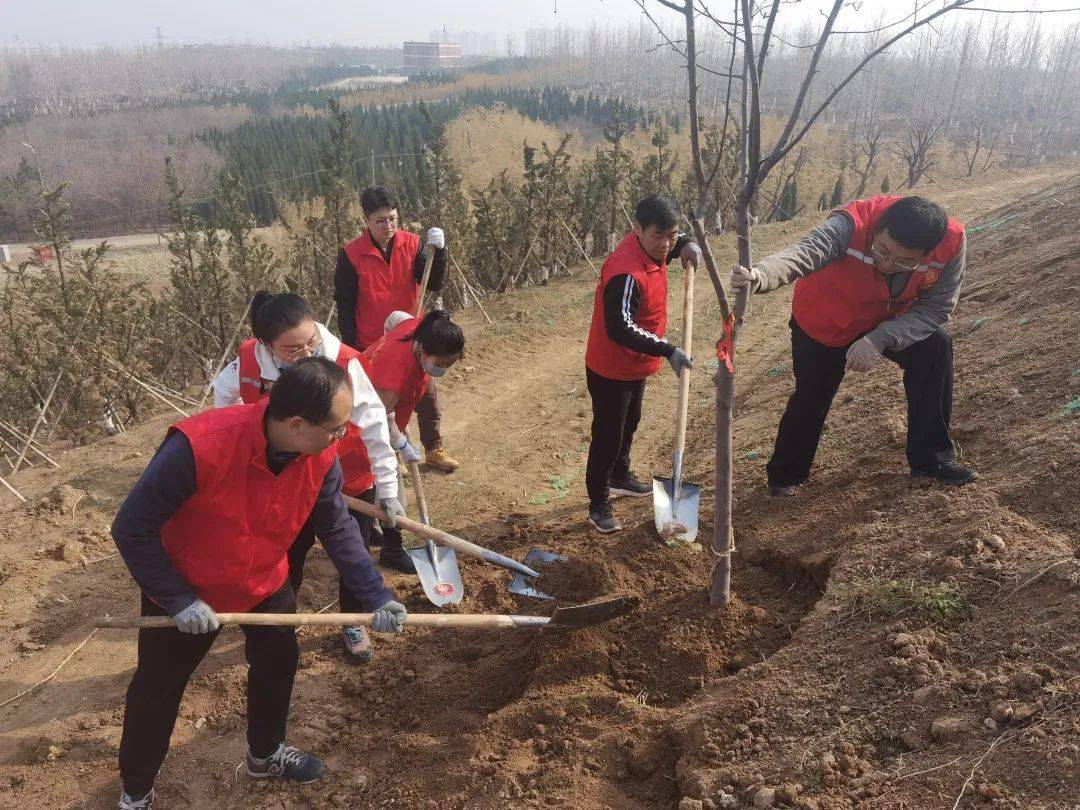 植树护绿添新颜,绿满淄博我先行——市委编办开展植树节志愿服务活动