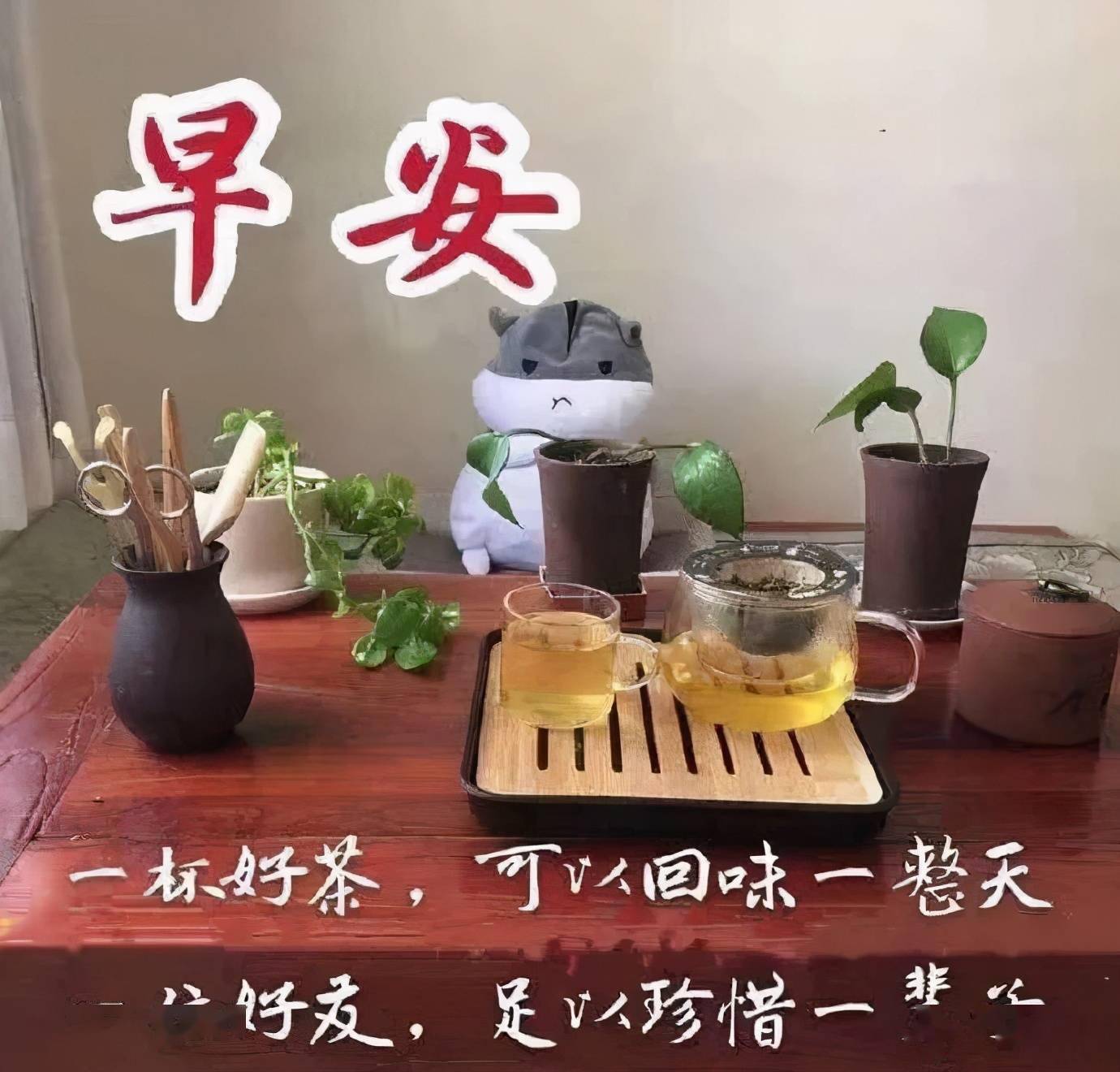 朋友,想你了,送上我美好的祝愿,早安