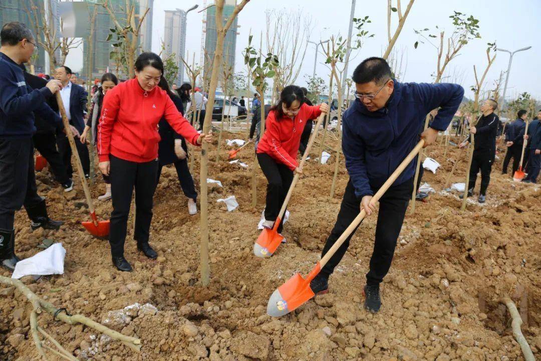 【动态】市政协机关干部职工到茜草开展植树活动