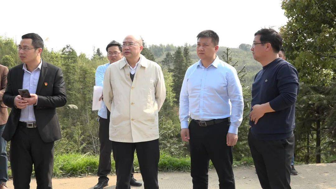 张万冬督察环保问题整改工作