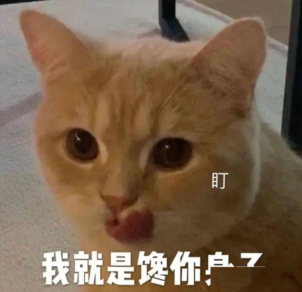 《司藤》影评:全网都在夸,她真的翻身了?