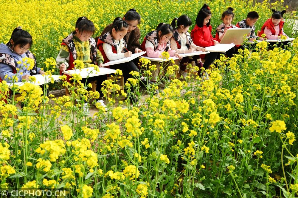 2021年3月16日,河北省邯郸市广平县第一幼儿园的小朋友在油菜花田间