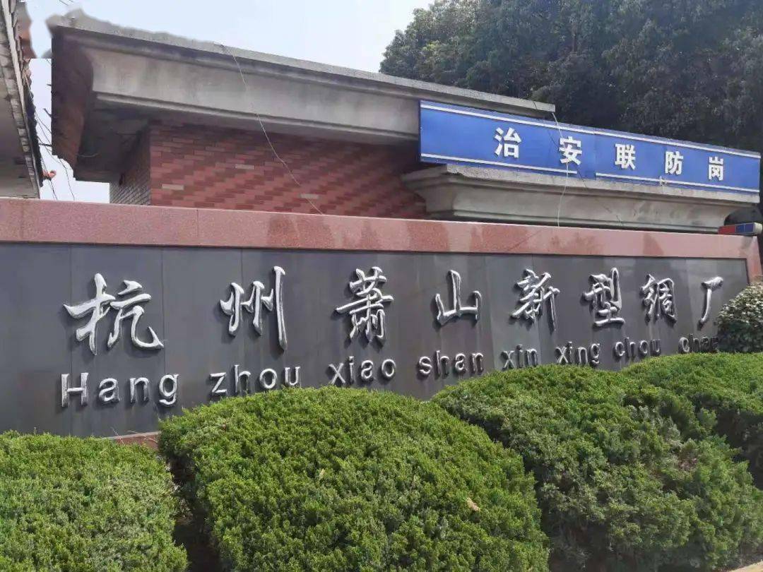 她骨子里浸透"奔竞不息 勇立潮头"的萧山精神.