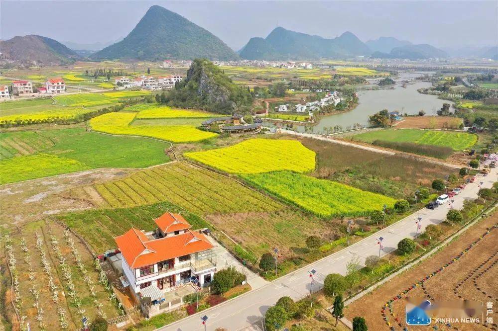 3月17日拍摄的贵州省安顺市平坝区小河湾村附近的油菜花地(无人机照片