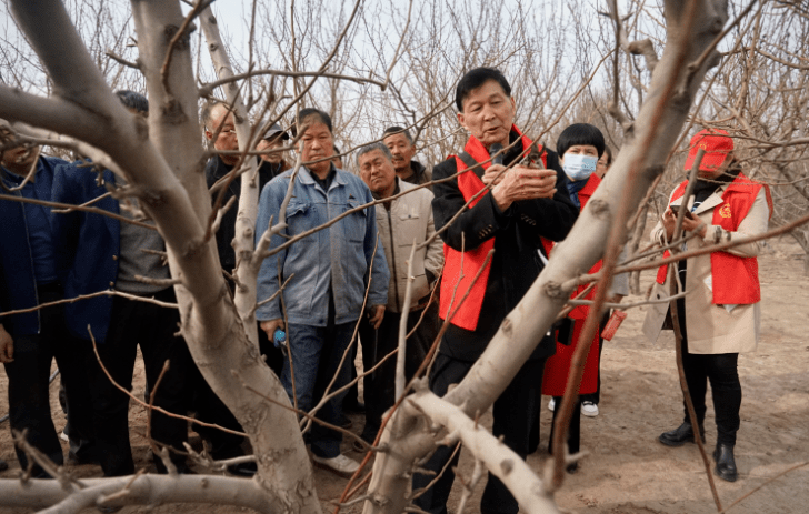 乌兰淖尔镇农区居民张正吉说"我种了十几亩果树,也遇到了一些问题