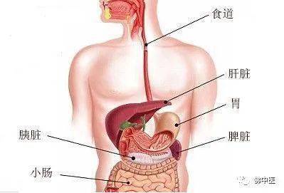 【爱肝日】奶茶火锅撸串,手游煲剧刷夜,00后熬出重