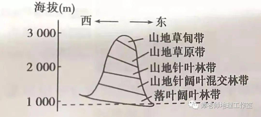 【重磅整理】非地带性气候与自然带考点整理,山地垂直