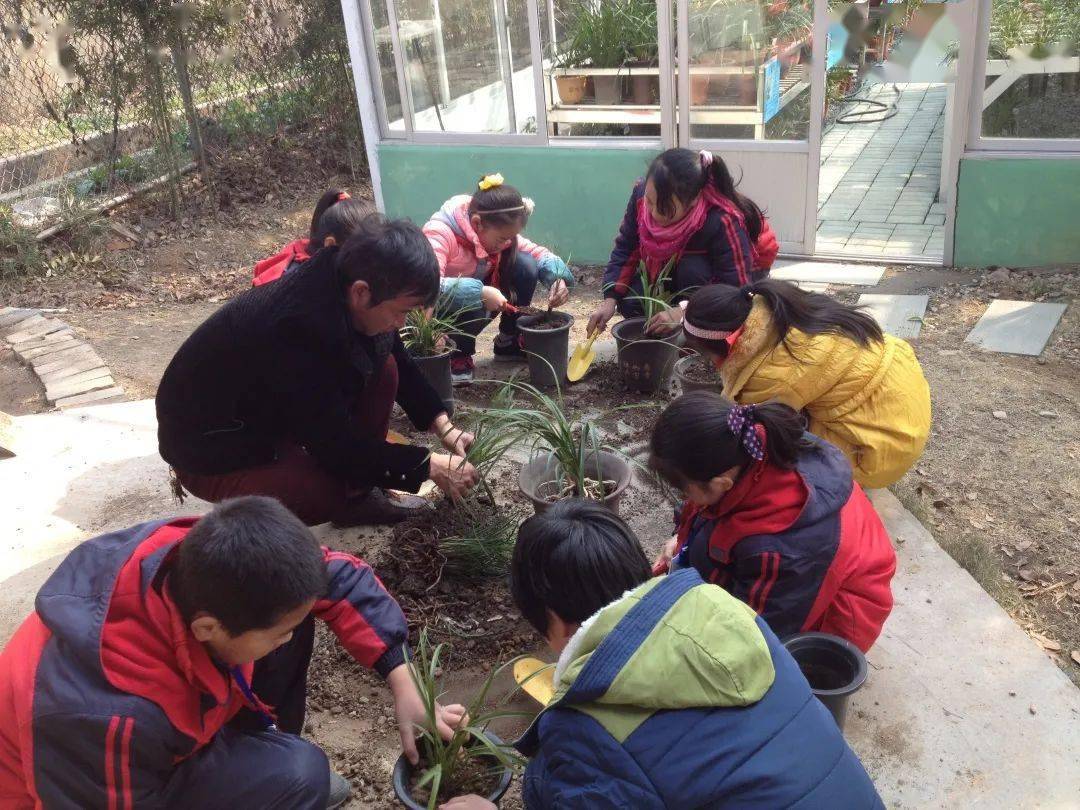 我市这些学校(单位)成功创建宁波市中小学劳动教育示范学校(实践基地)