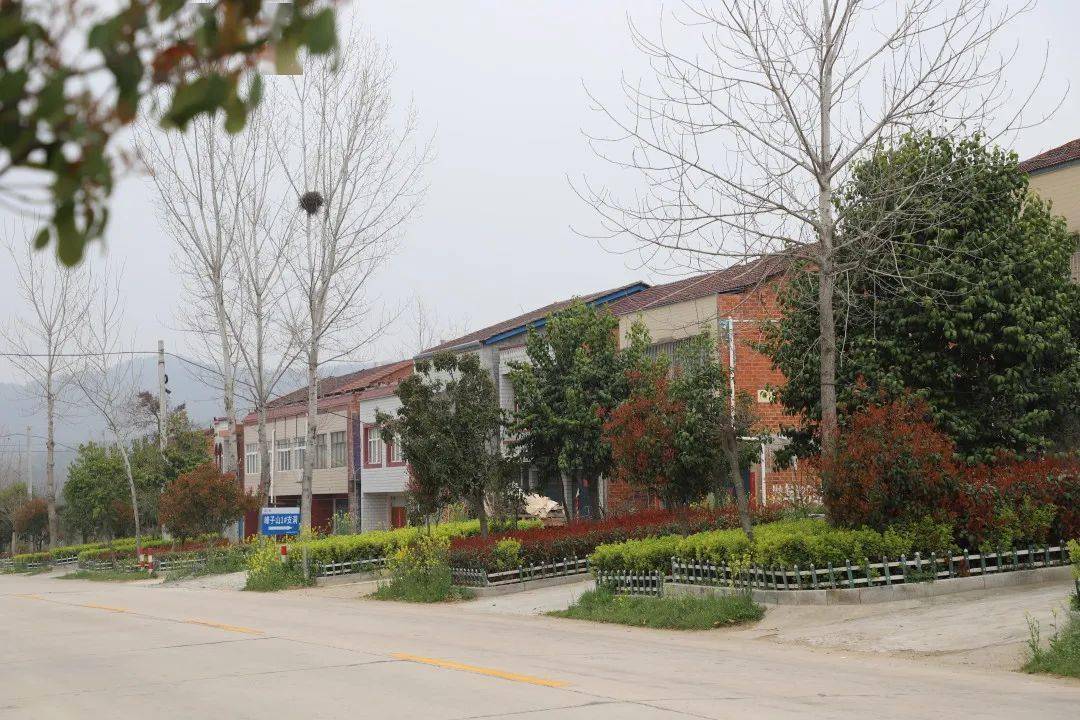 乡村振兴村组行| 万店镇兴隆村:环境整治靓家园