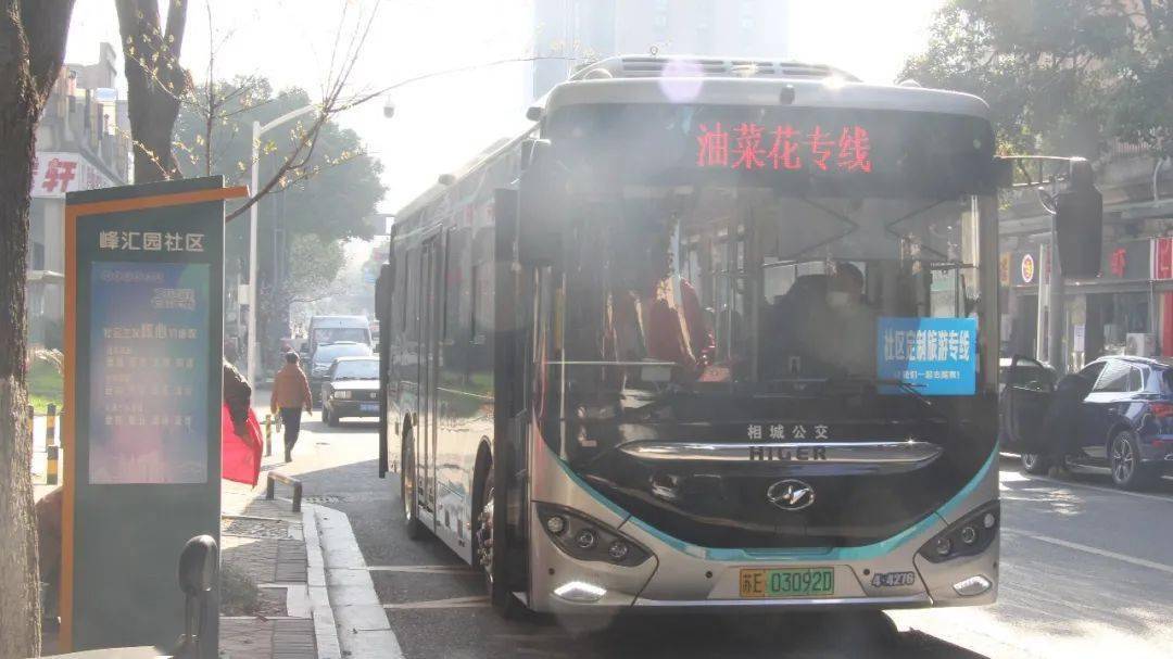 社区定制旅游专线——油菜花专线发车啦
