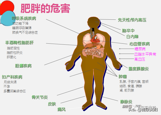 【健康科普】儿童肥胖营养与治疗