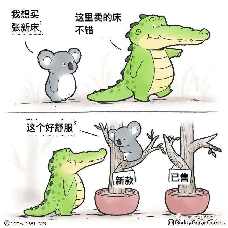 鳄鱼也能这么可爱小鳄鱼gator和朋友们的生活好治愈