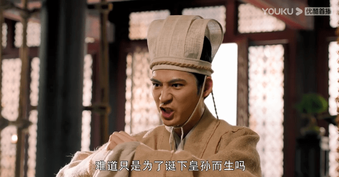 《大宋宫词》影评:刘涛拍了个3.9分的「大明宫词」?
