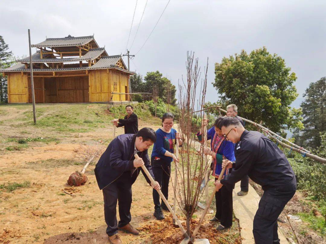 三江县良口乡白毛村贫困人口_三江县良口乡良帽村(3)