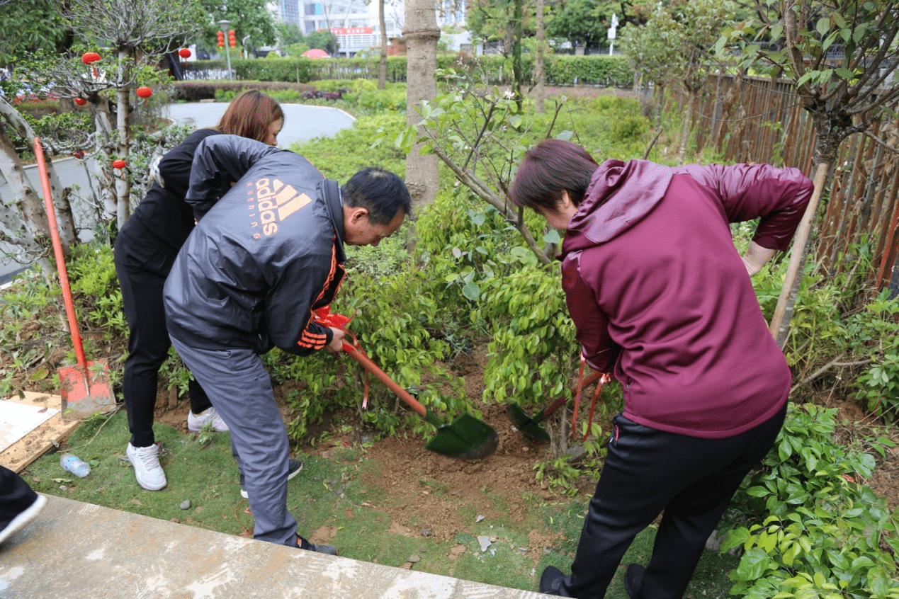 植树节携手添新绿:田自中心职工干部开展义务植树活动