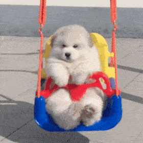 有它们陪伴,才是家! 收藏 举报 返回搜             责任编辑