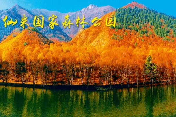 仙米国家森林公园