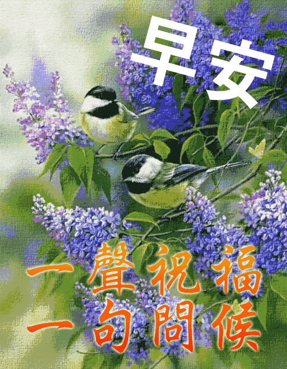 580_746竖版 竖屏gif 动态图 动图