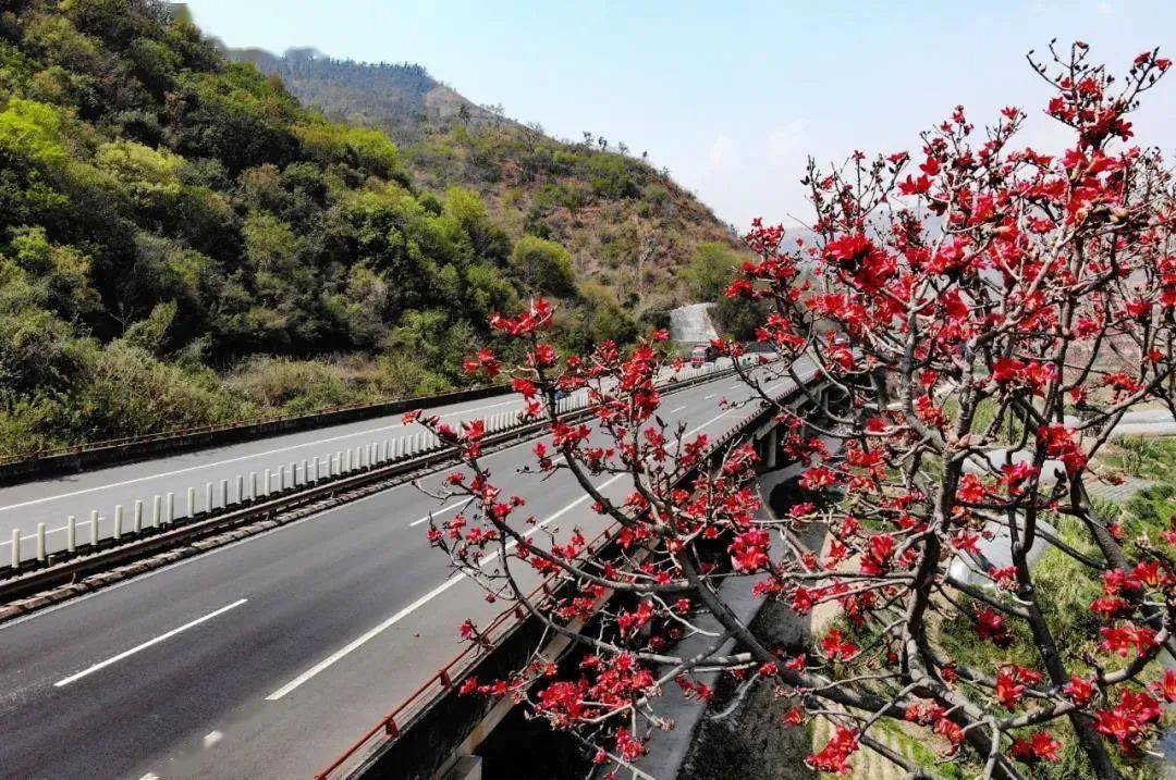 云南砚平高速公路,人在"花"中