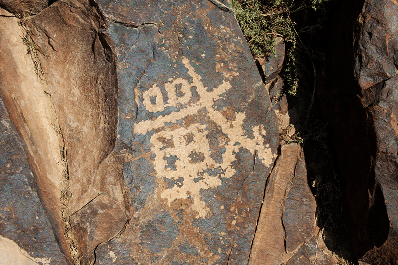 蒙古扁桃,马兰花等自然景观;骆驼山岩画,古长城遗址