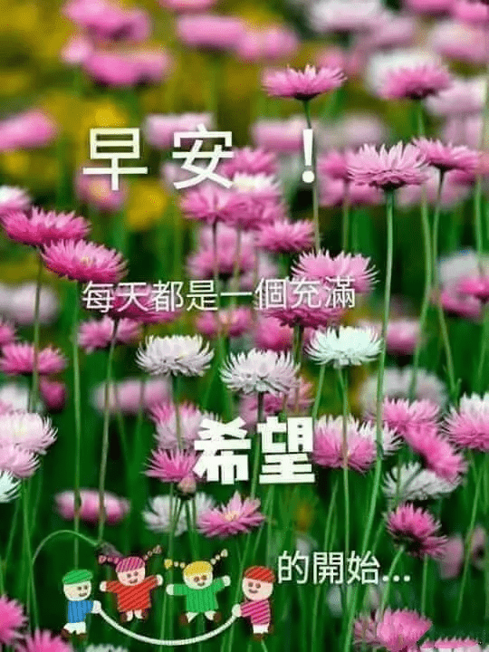 早安吉祥:老朋友想你了,你最近一切安好?早上好