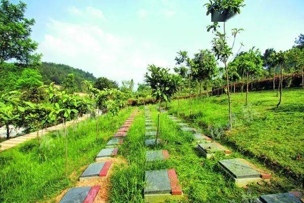 以人为本公益惠民生态节地