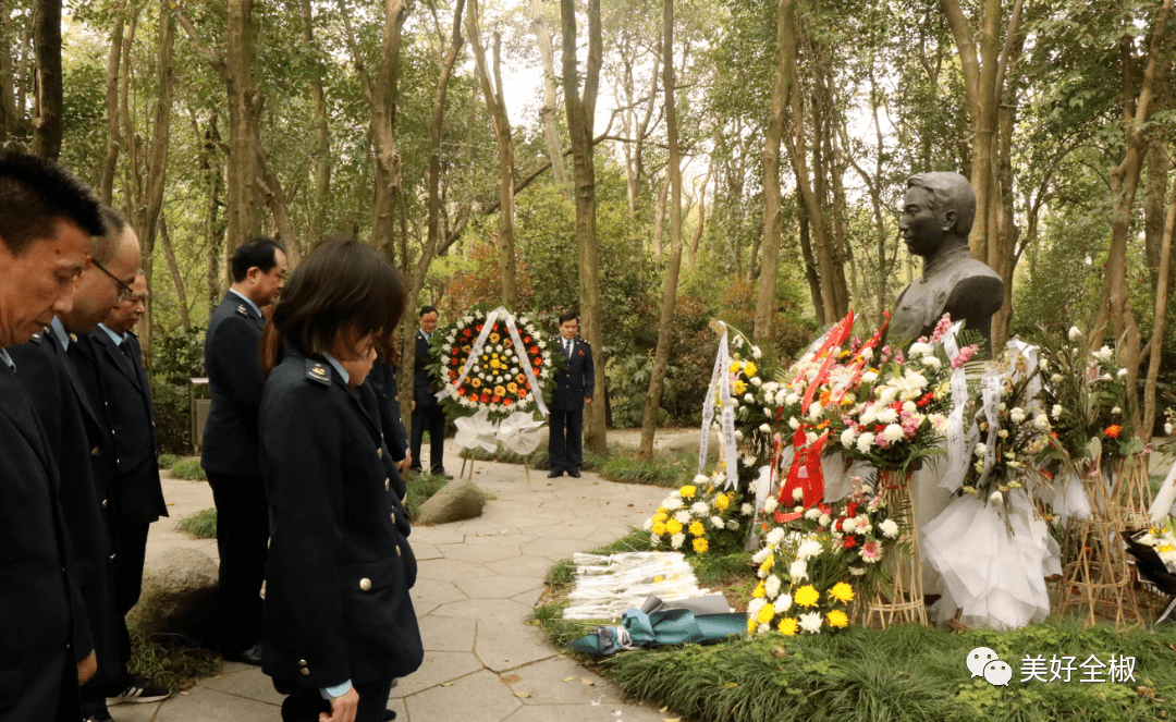 县税务局组织部分党员代表前往南屏山王枫烈士墓,开展"清明祭英烈"