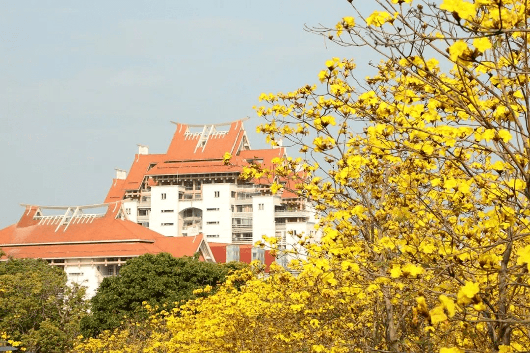 庆祝厦大百年校庆,探访厦门大学漳州校区