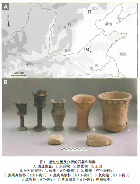 山东大汶口文化酒器初探