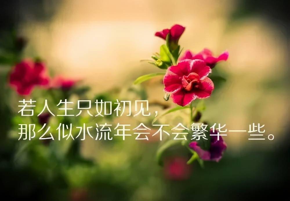 做最好的自己!即使没人喜欢,也要过得精彩,早安