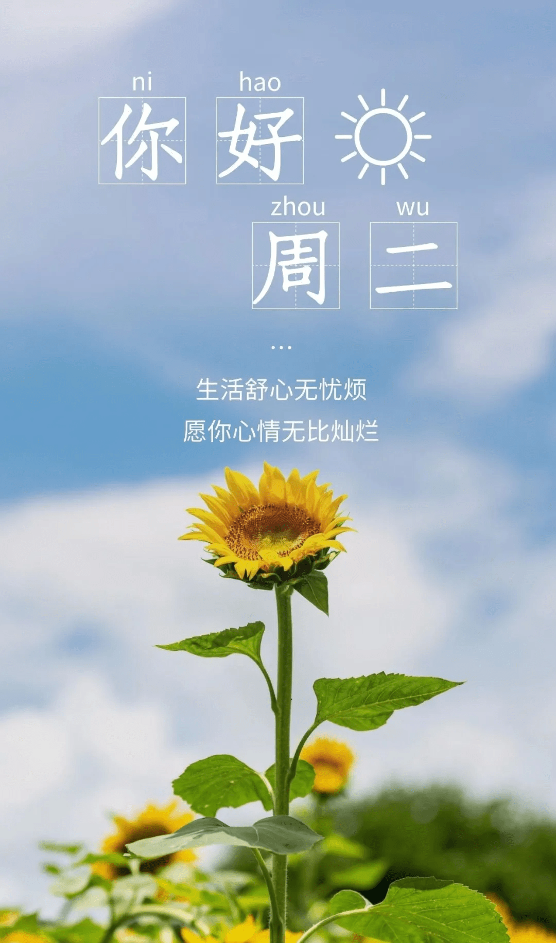 早安问候:不管将来是好或不好,我们都不应抱怨自己的人生,早安