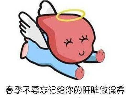 春季护肝行动