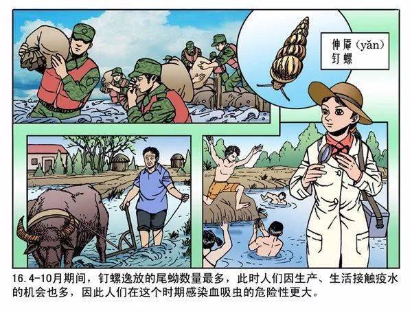 血吸虫病防治连环画全知道