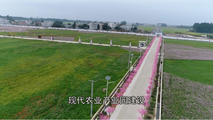 廉江市把"四好农村路"建设为乡村振兴发展疏通了"血脉"畅通群众出行