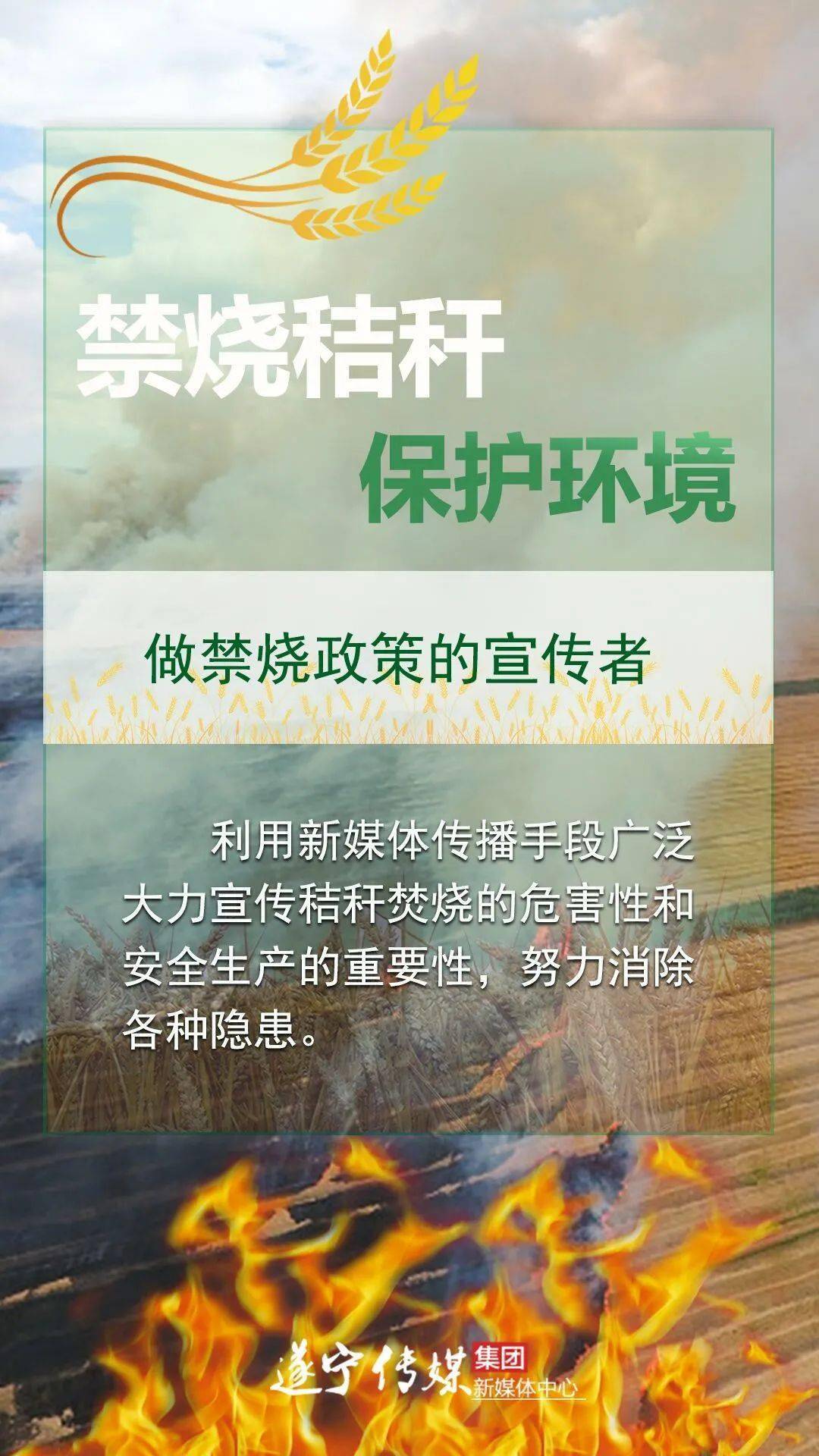 海报|守护遂宁蓝天白云 请向秸秆焚烧说"不!