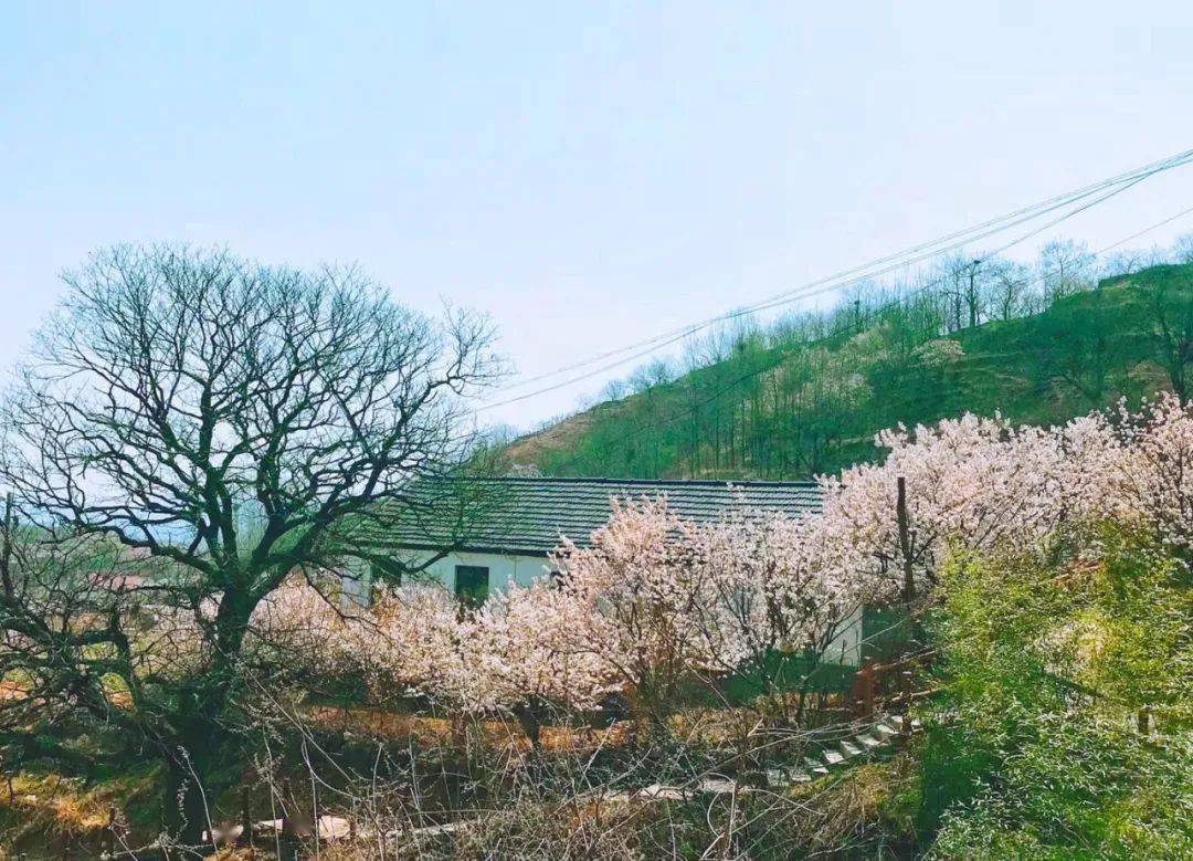 隐藏在诸城大山深处的古朴村落竟是一个世外桃源