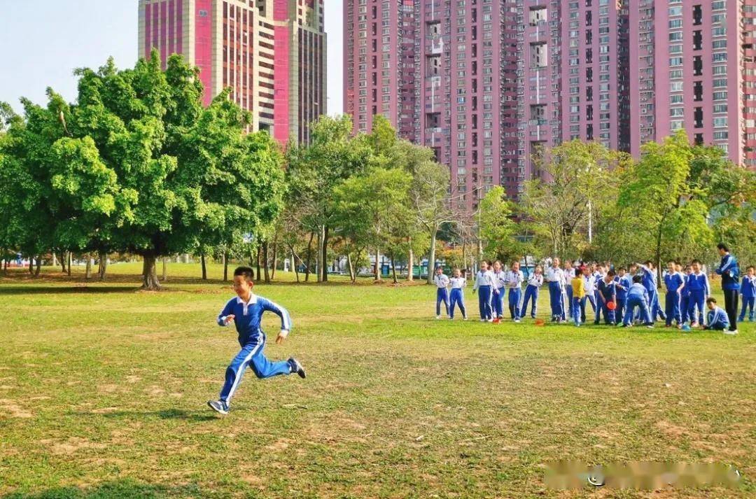 广东深圳福田华新小学,大自然,就是我们的教室.(来源:幸福福田)