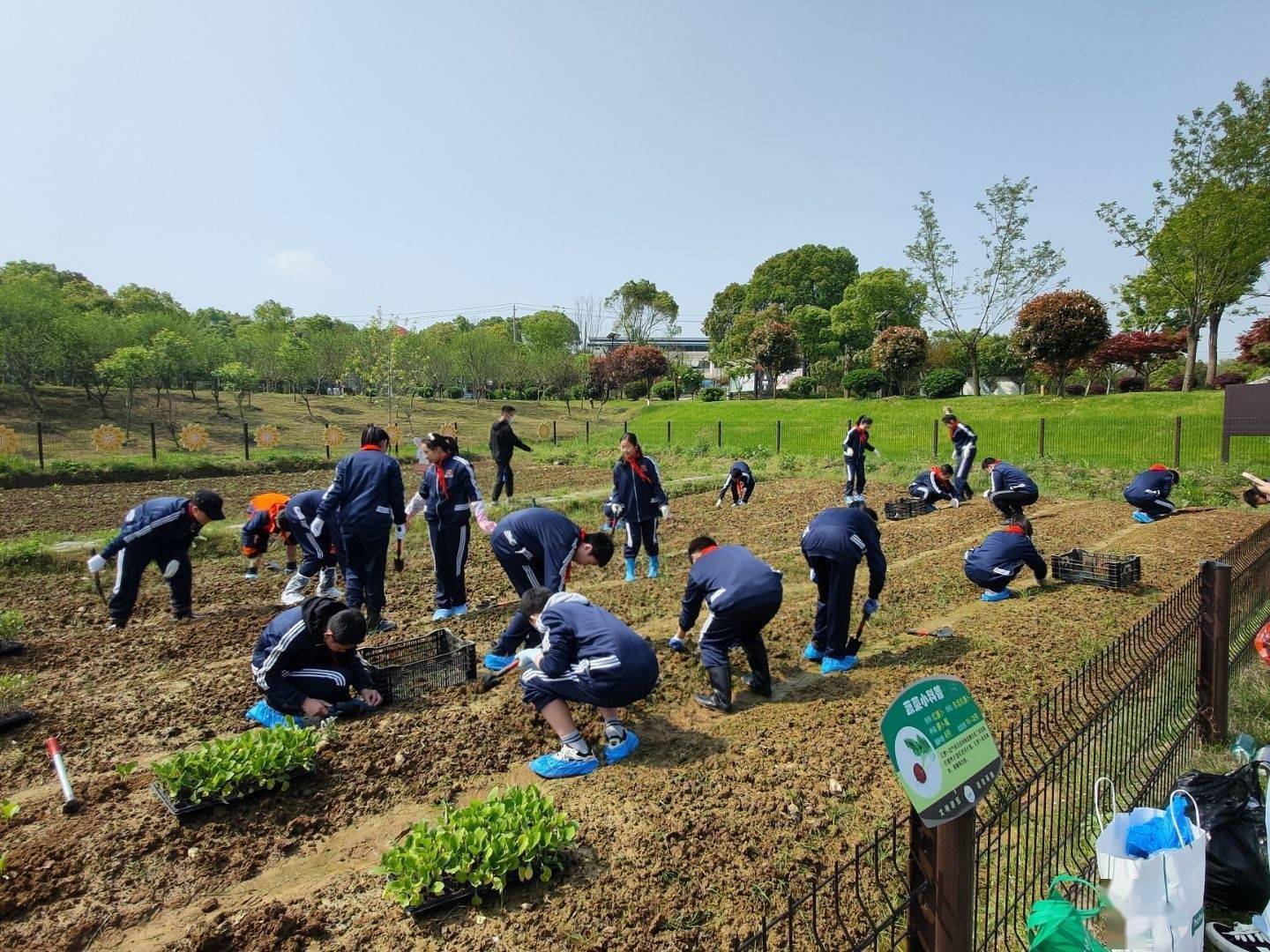 每周"下地务农,武汉这所初中将劳动课开在田间地头