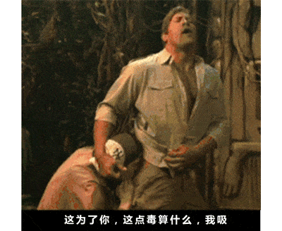 半个月内14人中招!深圳毒蛇进入活跃期,夏季远离这些地方