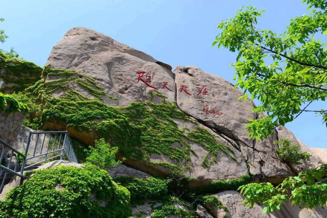 公众号 青岛文王山林场有限公司文王山风景区·林海花田,美食休闲09