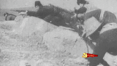 在抗日战争的艰苦岁月中,由中国共产党创建并领导的东北抗日联军,孤